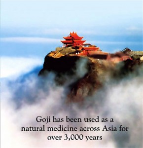 Goji has been used as a natural medicine across asian for over 3,000 years