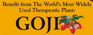 benefit from the world's most widely used therapeutic plant: goji 