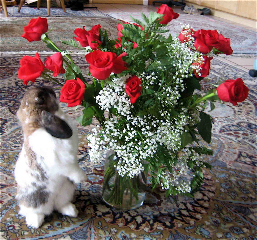 Joyce bunny flowers